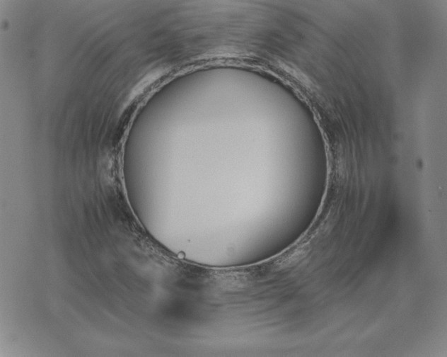 X0000075841258200609221656