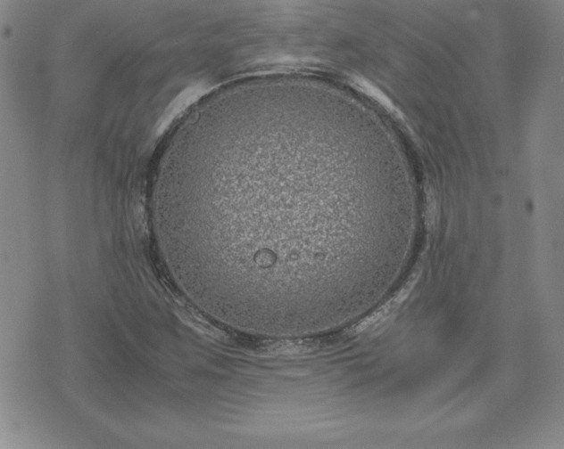 X0000075841259200609221656