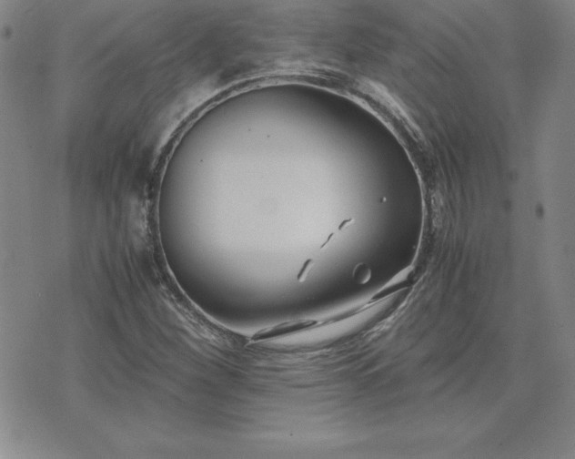 X0000075841260200609221656