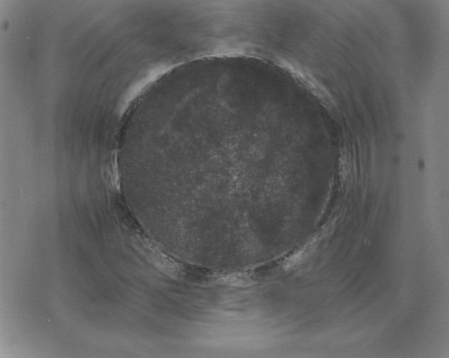 X0000075841262200609221656