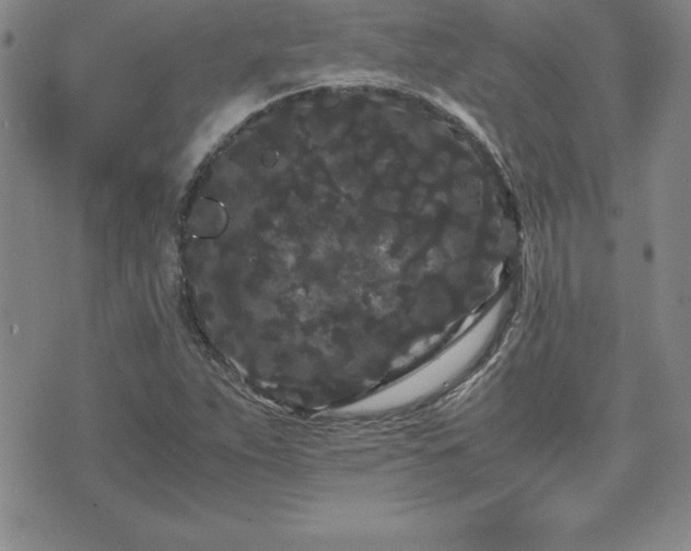 X0000075841263200609221656