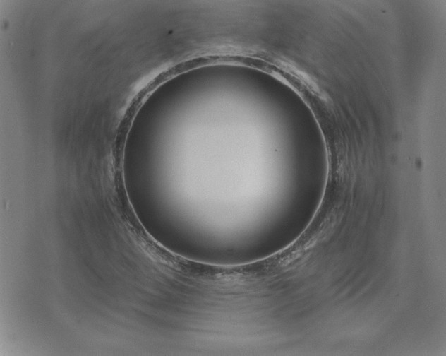 X0000075841264200609221656