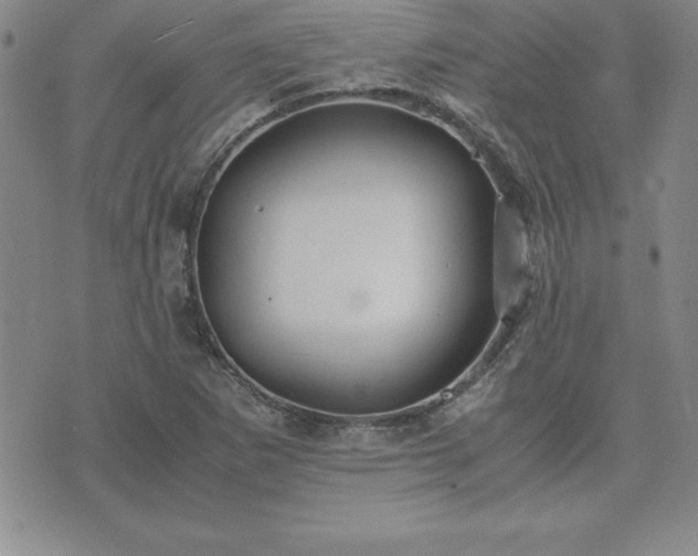 X0000075841265200609221656