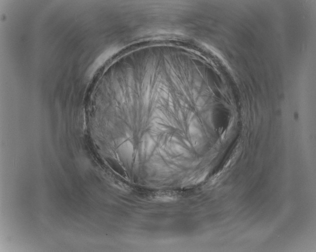 X0000075841267200609221656