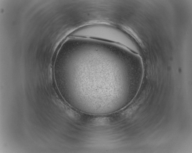 X0000075841268200609221656