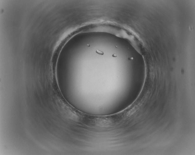 X0000075841270200609221656