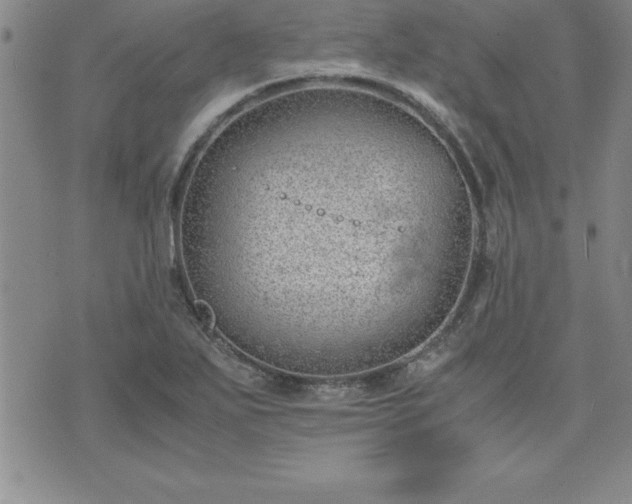 X0000075841271200609221656