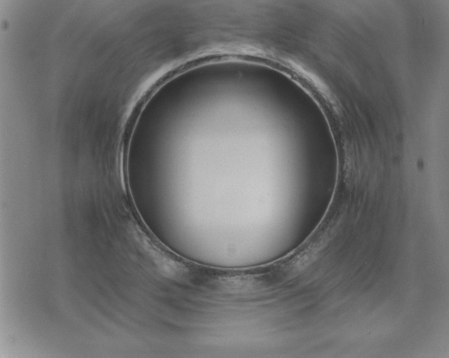 X0000075841272200609221656