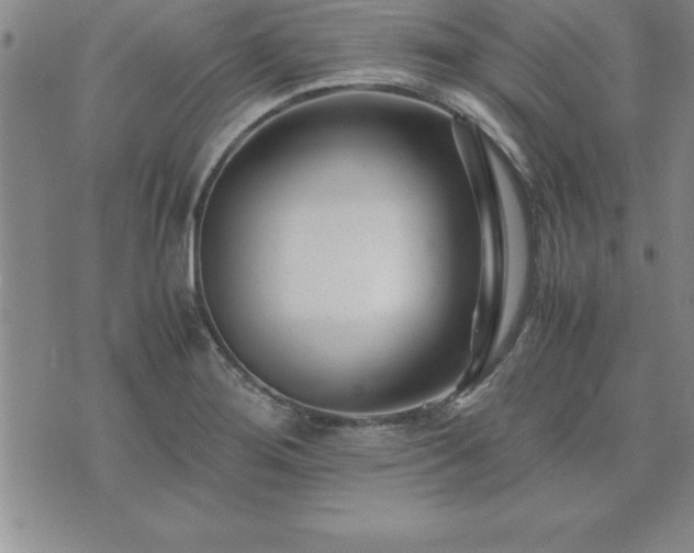 X0000075841276200609221656