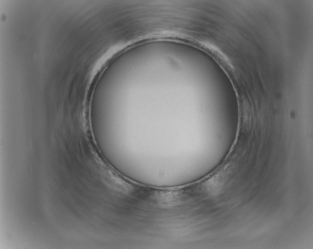 X0000075841278200609221656