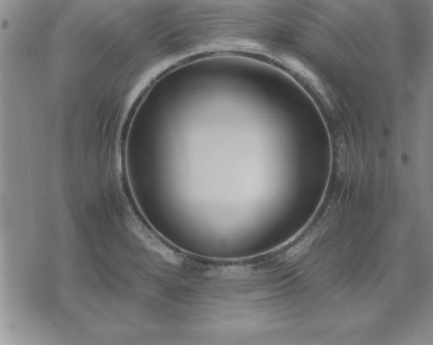 X0000075841280200609221656