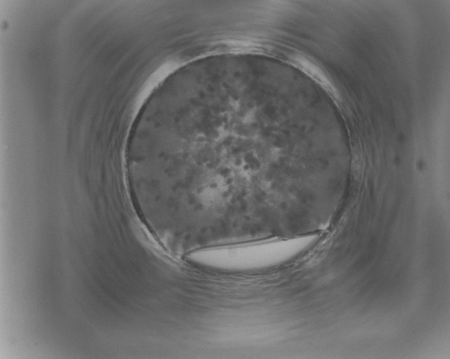 X0000075841283200609221656