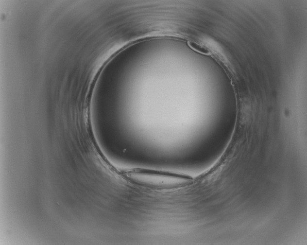 X0000075841284200609221656