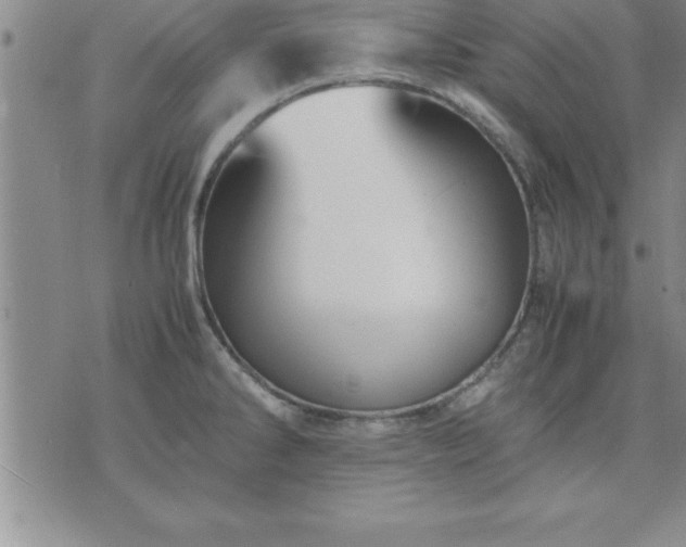 X0000075841286200609221656