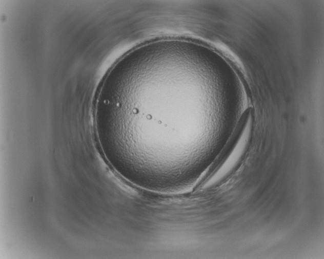 X0000075841287200609221655