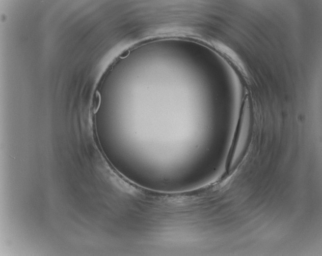 X0000075841288200609221655