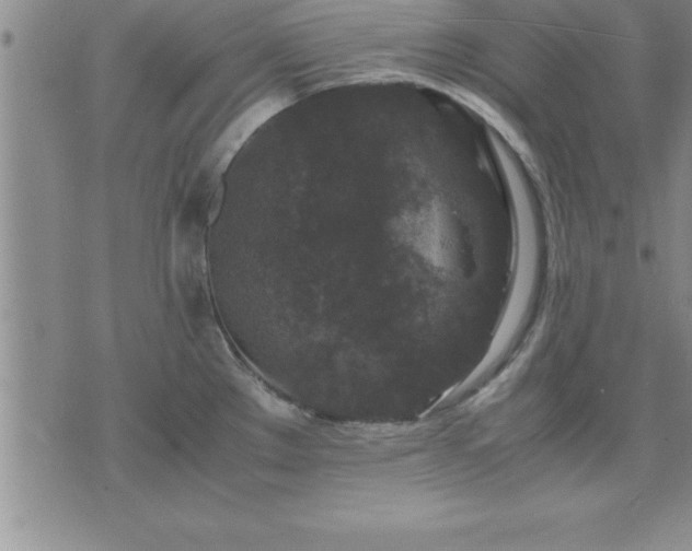 X0000075841289200609221655