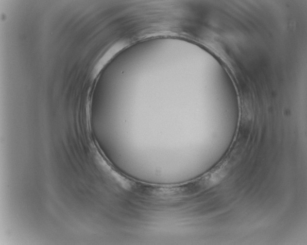 X0000075841290200609221655