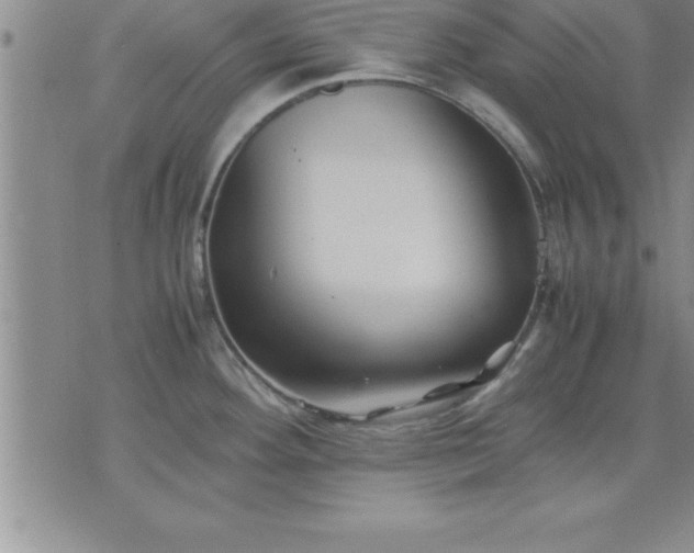 X0000075841292200609221655