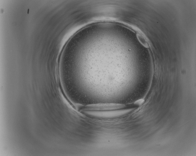 X0000075841295200609221655