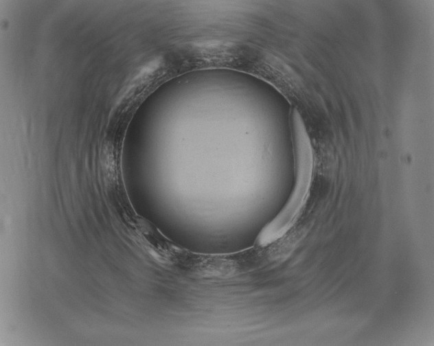 X0000075841298200609221655