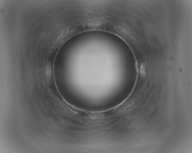 X0000075841299200609221655