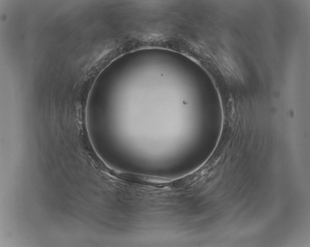 X0000075841301200609221655