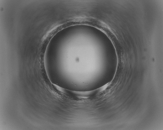 X0000075841304200609221655