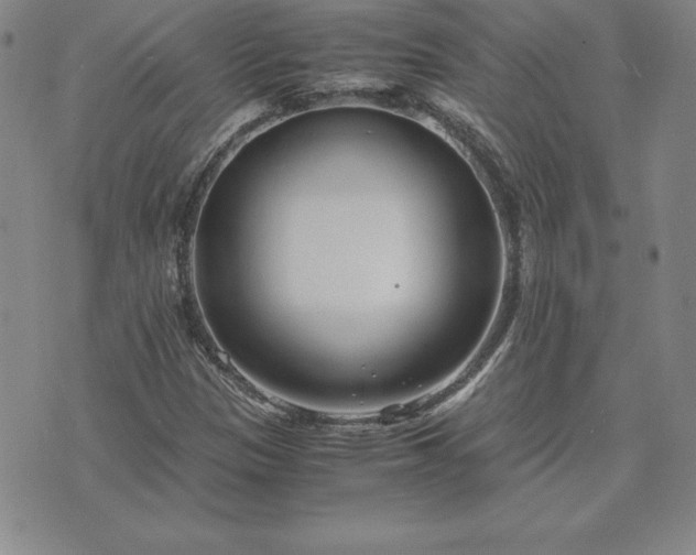 X0000075841305200609221655