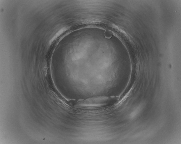 X0000075841306200609221655