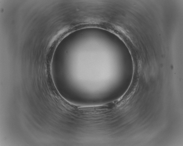 X0000075841307200609221655