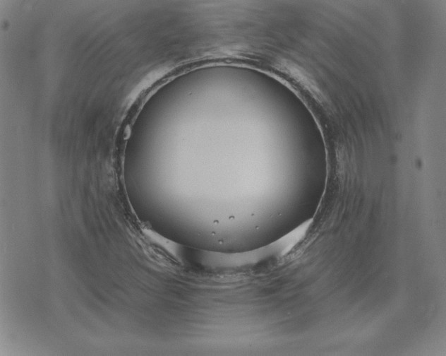 X0000075841308200609221655