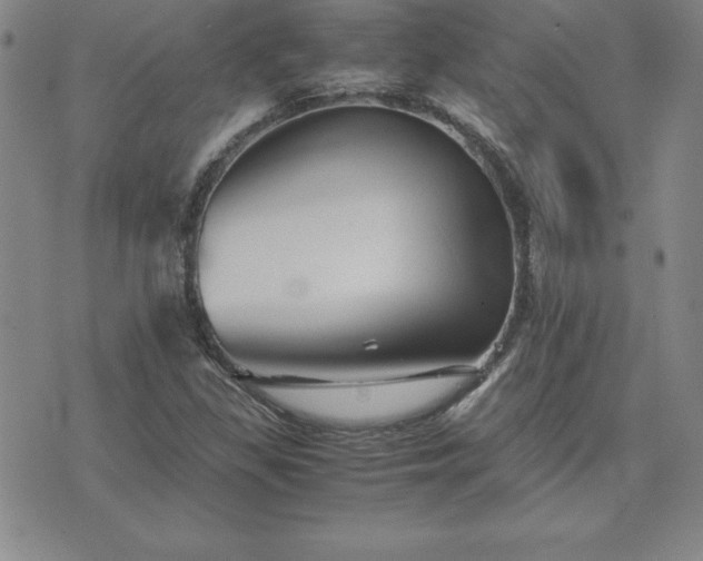 X0000075841309200609221655