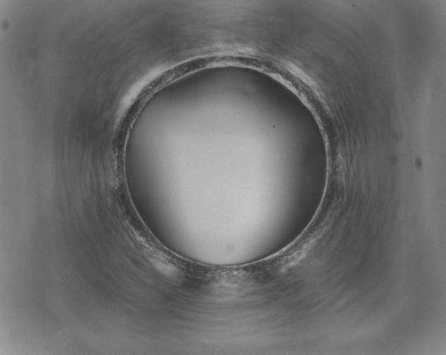 X0000075841310200609221655