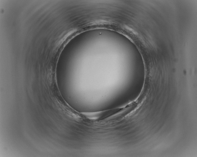 X0000075841313200609221655