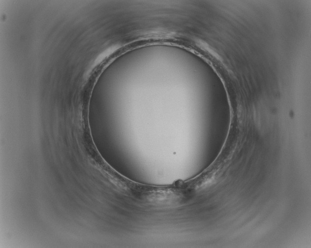 X0000075841315200609221655