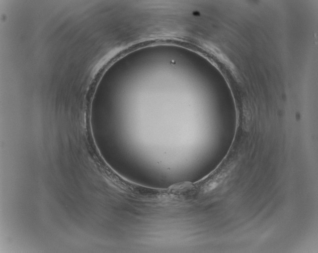 X0000075841316200609221655