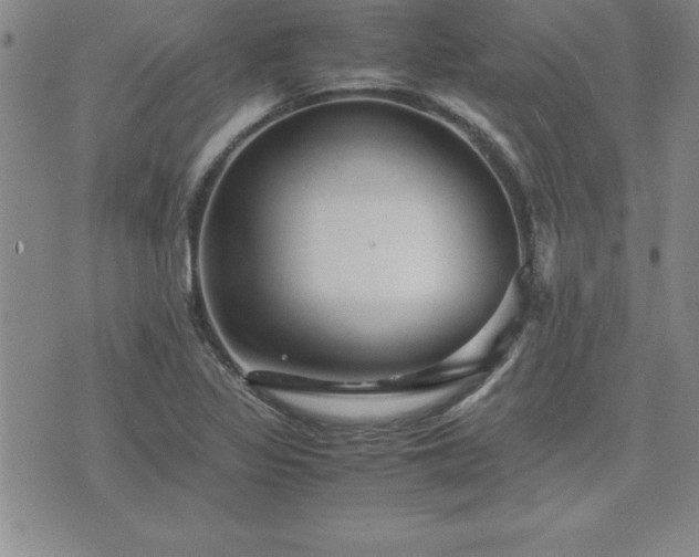 X0000075841317200609221655