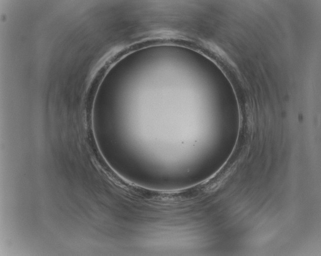 X0000075841318200609221655