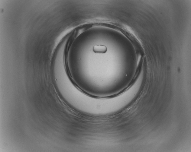 X0000075841320200609221655