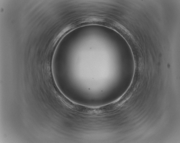 X0000075841321200609221655