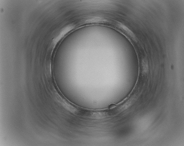 X0000075841322200609221655