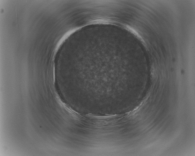 X0000075841323200609221655