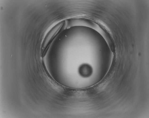 X0000075841324200609221655