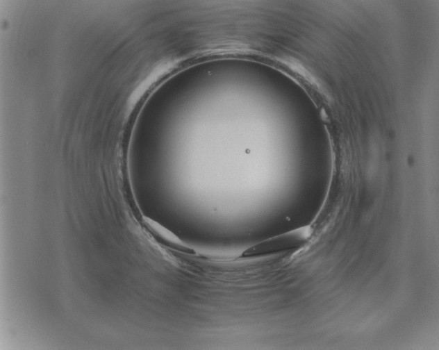 X0000075841325200609221655