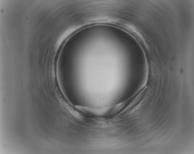 X0000075841328200609221655