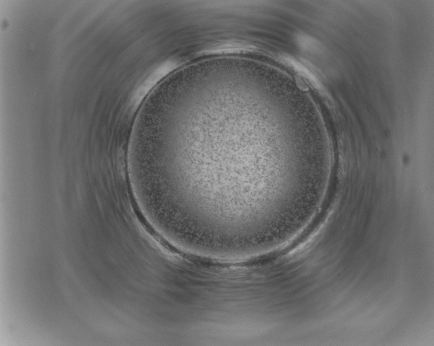 X0000075841329200609221655