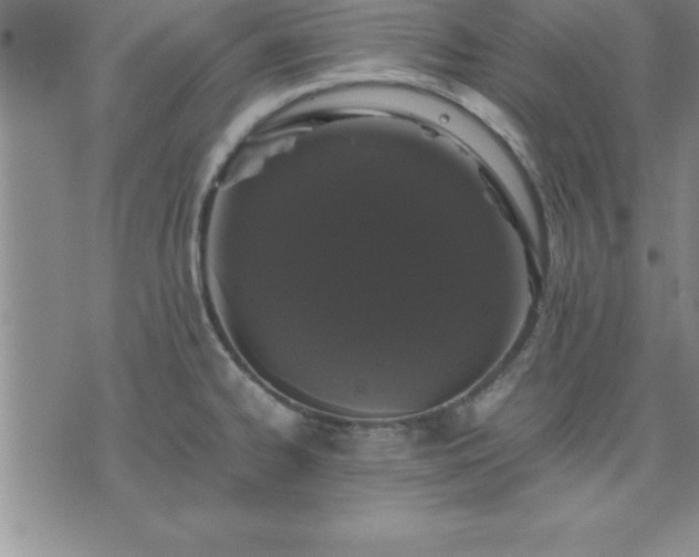 X0000075841334200609221655