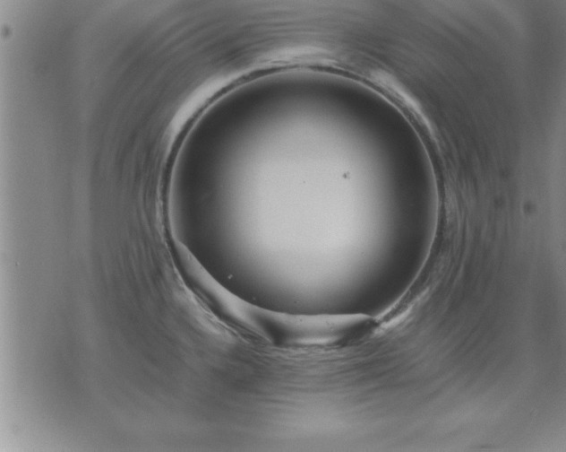 X0000075841336200609221655