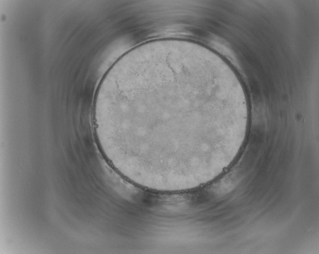 X0000075841338200609221655